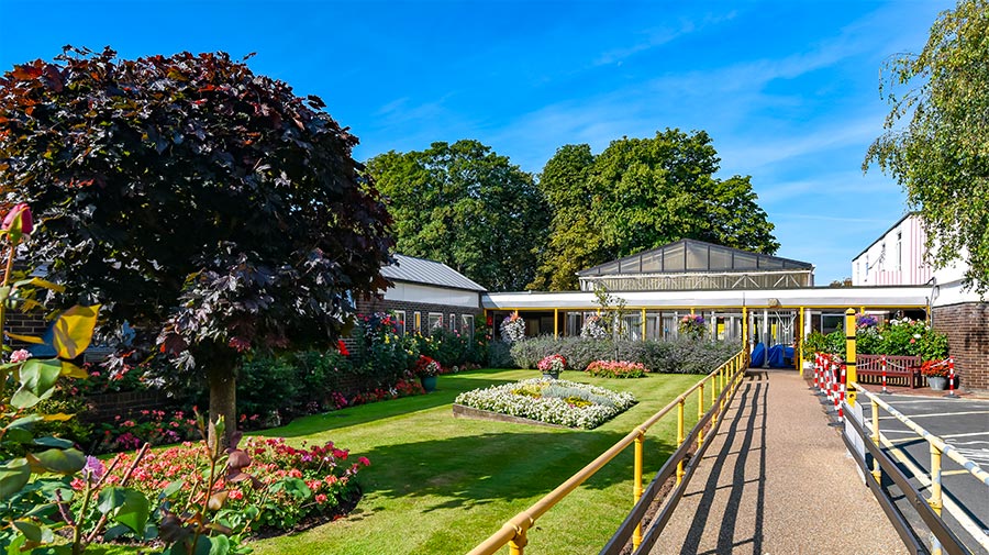 Housing garden grounds in the sunshine