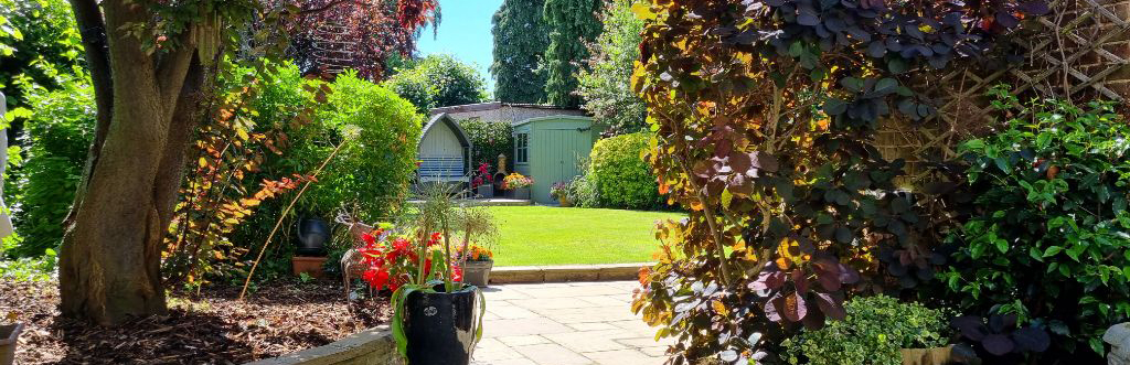 A garden in the sunshine