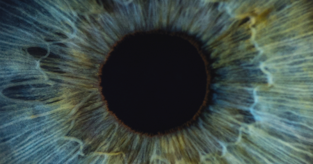 Stylised up close image of the pupil and iris of an eyeball. The iris is blue with areas of brown.