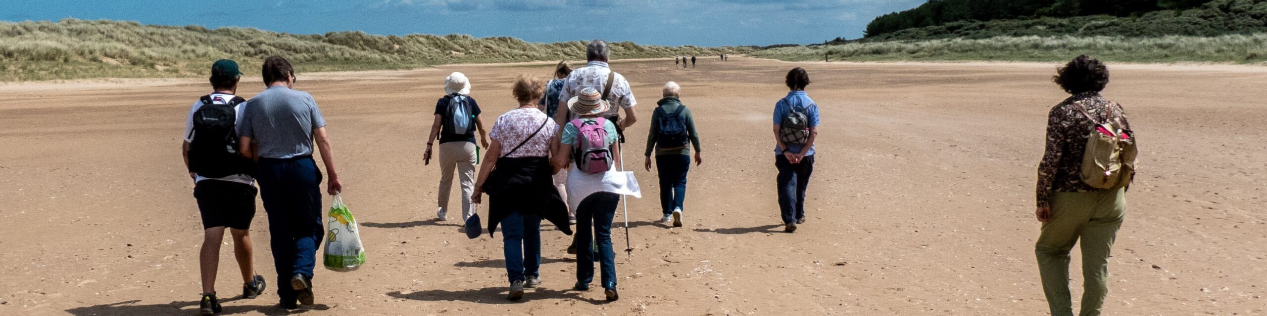 A group of people walking along a beach towards sand dunes. We see them from behind and some are wearing backpacks.