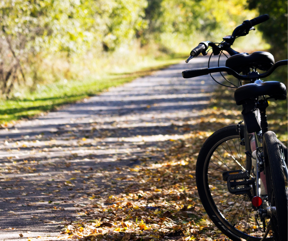 The outline of a tandem bicycle on the right facing down a pathway surrounded by bushes and leaves.