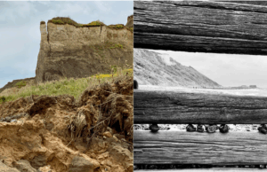 Two photographs side by side. On the left: Photo shows a rugged, eroded cliffside under a cloudy sky. In the foreground, the ground is uneven and rocky, with reddish-brown soil and chunks of stone scattered around. Some areas look freshly exposed, as if rain or wind recently washed parts of the earth away. There’s a small patch of muddy water near the bottom of the scene. In the background, the cliff rises sharply upward. Its face is light beige with dark grey and brown layers running through it, showing how the earth has built up over time. The top of the cliff is covered with a thin layer of green grass and small patches of yellow wildflowers. Deep cracks run down parts of the cliff, hinting that pieces might eventually break off. On the Right: Photo shows a black and white close up image of a wooden groyne with 6 small pebbles stuck in the small gap of the groyne through the larger gap at the top of the picture you can just make out the clifftop.