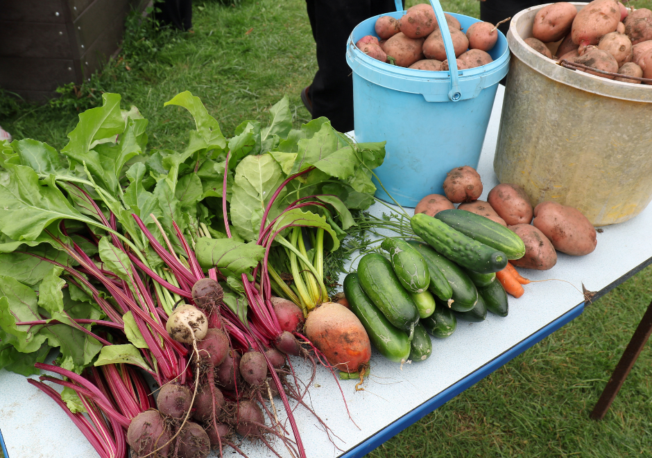 Vegetables from the allotment proudly displayed on a table including beetroot, cucumbers, carrots, and potatoes.